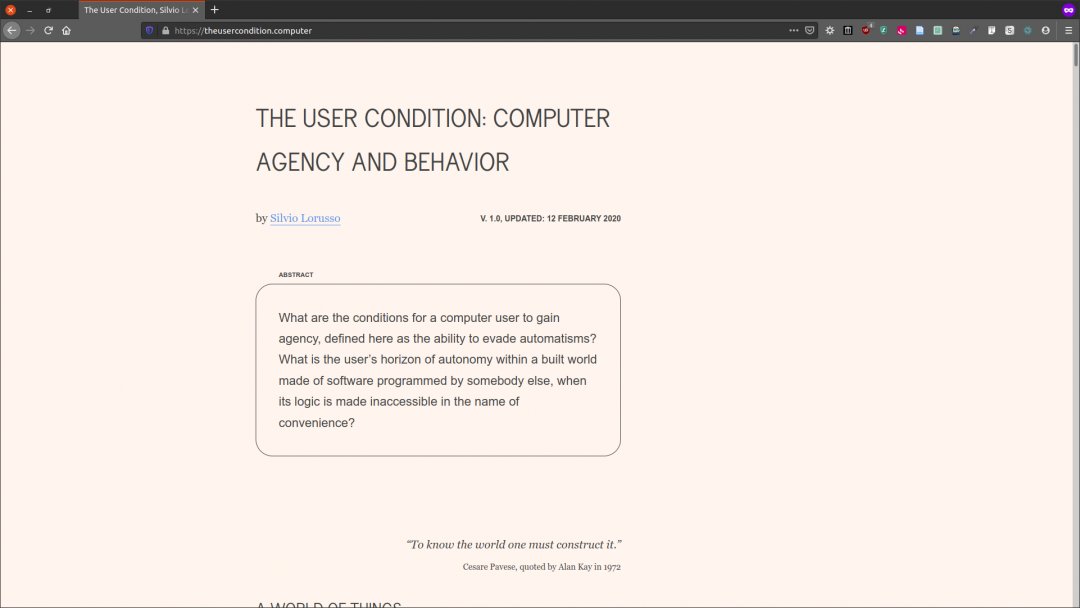 The User Condition, Silvio Lorusso, 2021